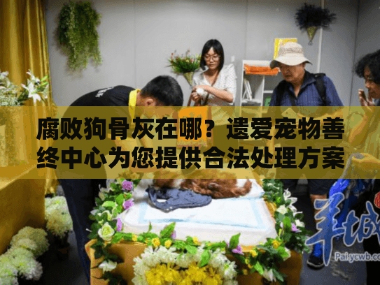 腐败狗骨灰在哪？遗爱宠物善终中心为您提供合法处理方案