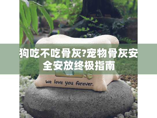 狗吃不吃骨灰?宠物骨灰安全安放终极指南