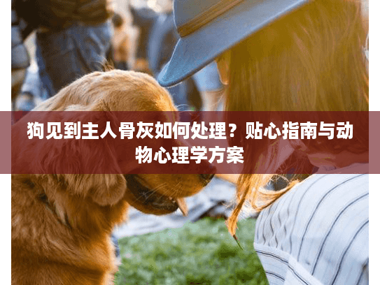 狗见到主人骨灰如何处理?贴心指南与动物心理学方案 狗见到主人骨灰如何处理?贴心指南与动物心理学方案