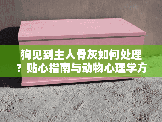 狗见到主人骨灰如何处理?贴心指南与动物心理学方案 狗见到主人骨灰如何处理?贴心指南与动物心理学方案