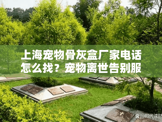 上海宠物骨灰盒厂家电话怎么找？宠物离世告别服务指南