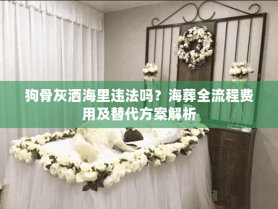 狗骨灰洒海里违法吗？海葬全流程费用及替代方案解析