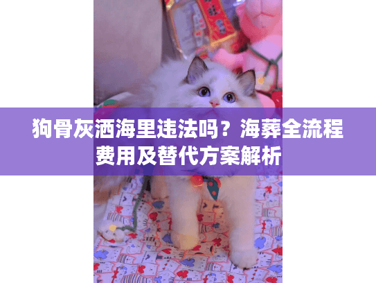 狗骨灰洒海里违法吗？海葬全流程费用及替代方案解析