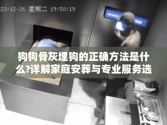 狗狗骨灰埋狗的正确方法是什么?详解家庭安葬与专业服务选择