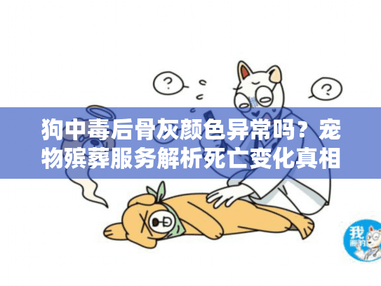 狗中毒后骨灰颜色异常吗？宠物殡葬服务解析死亡变化真相