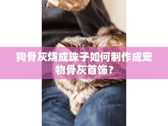 狗骨灰烧成珠子如何制作成宠物骨灰首饰? 狗骨灰烧成珠子如何制作成宠物骨灰首饰?