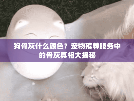 狗骨灰什么颜色？宠物殡葬服务中的骨灰真相大揭秘