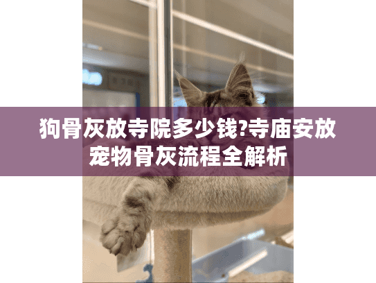 狗骨灰放寺院多少钱?寺庙安放宠物骨灰流程全解析