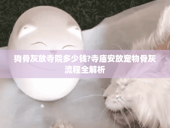 狗骨灰放寺院多少钱?寺庙安放宠物骨灰流程全解析