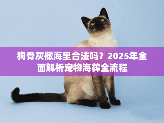 狗骨灰撒海里合法吗？2025年全面解析宠物海葬全流程