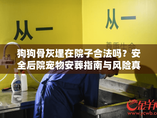 狗狗骨灰埋在院子合法吗？安全后院宠物安葬指南与风险真相