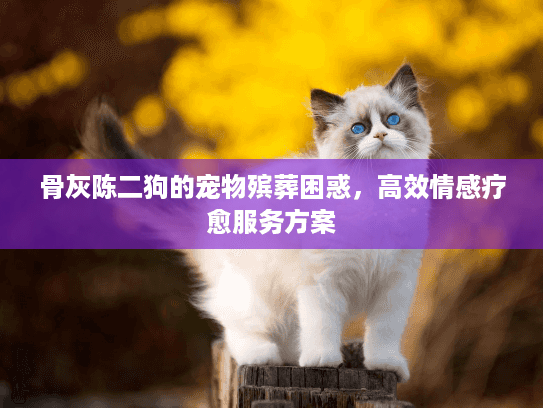 骨灰陈二狗的宠物殡葬困惑，高效情感疗愈服务方案