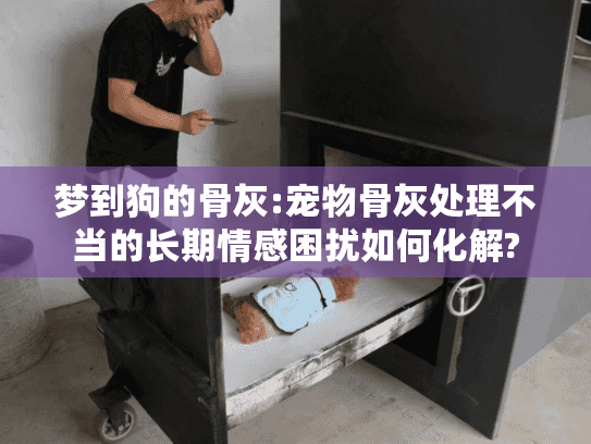 梦到狗的骨灰:宠物骨灰处理不当的长期情感困扰如何化解?