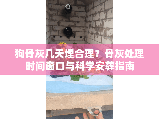 狗骨灰几天埋合理？骨灰处理时间窗口与科学安葬指南