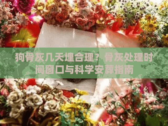 狗骨灰几天埋合理？骨灰处理时间窗口与科学安葬指南