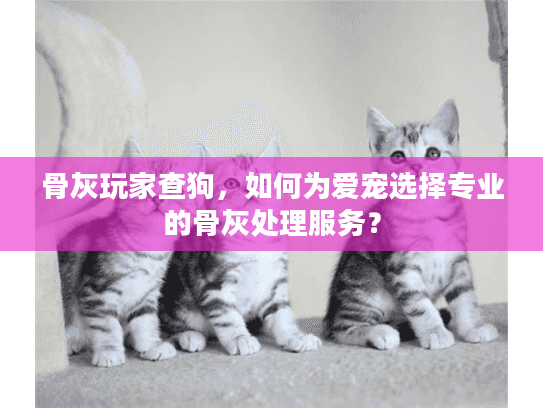 骨灰玩家查狗，如何为爱宠选择专业的骨灰处理服务？