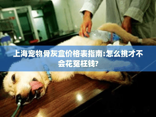 上海宠物骨灰盒价格表指南:怎么挑才不会花冤枉钱?