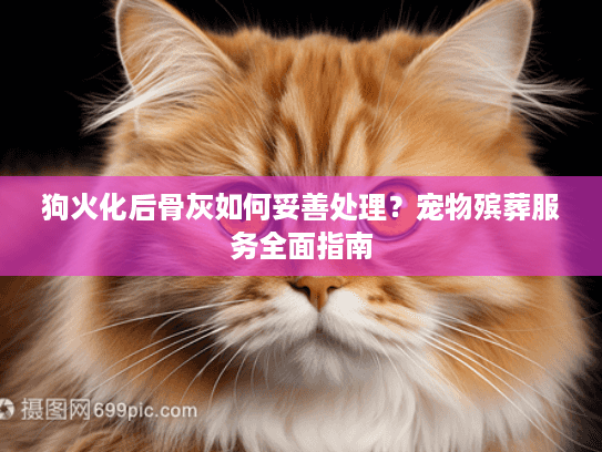 狗火化后骨灰如何妥善处理？宠物殡葬服务全面指南