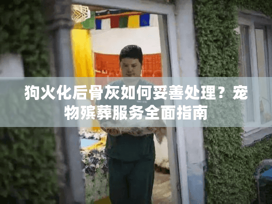 狗火化后骨灰如何妥善处理？宠物殡葬服务全面指南