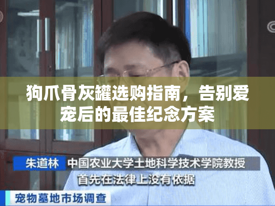 狗爪骨灰罐选购指南，告别爱宠后的最佳纪念方案