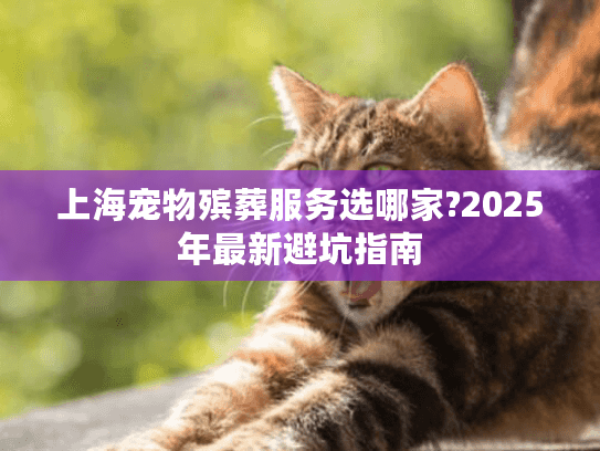 上海宠物殡葬服务选哪家?2025年最新避坑指南