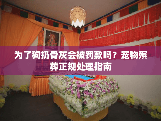 为了狗扔骨灰会被罚款吗？宠物殡葬正规处理指南