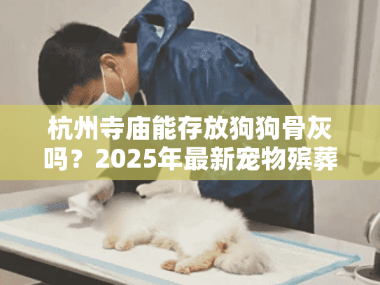 杭州寺庙能存放狗狗骨灰吗？2025年最新宠物殡葬指南