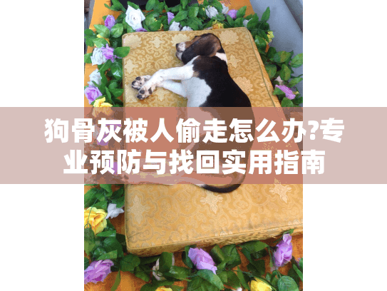 狗骨灰被人偷走怎么办?专业预防与找回实用指南