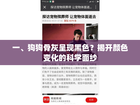 一、狗狗骨灰呈现黑色？揭开颜色变化的科学面纱