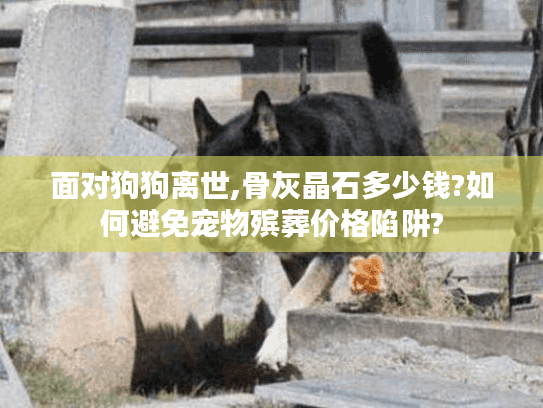 面对狗狗离世,骨灰晶石多少钱?如何避免宠物殡葬价格陷阱?