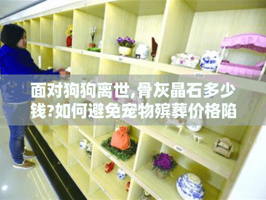 面对狗狗离世,骨灰晶石多少钱?如何避免宠物殡葬价格陷阱?