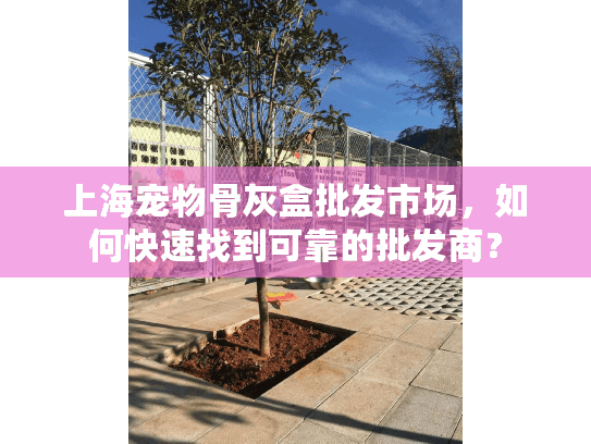 上海宠物骨灰盒批发市场，如何快速找到可靠的批发商？