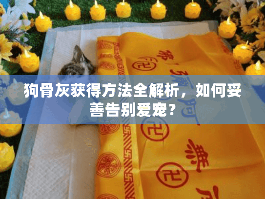 狗骨灰获得方法全解析，如何妥善告别爱宠？