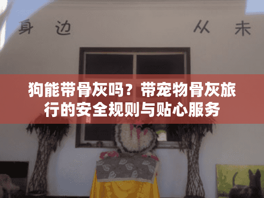 狗能带骨灰吗？带宠物骨灰旅行的安全规则与贴心服务
