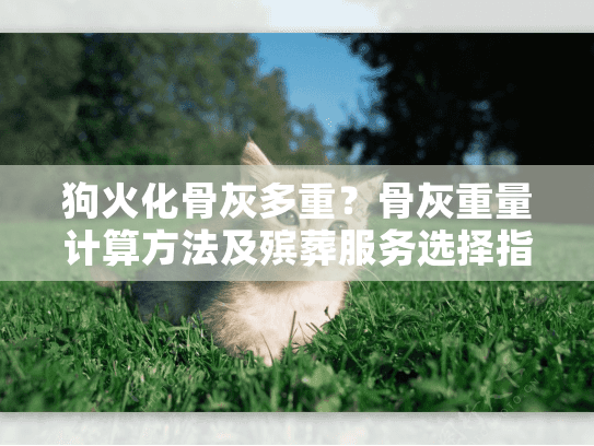 狗火化骨灰多重？骨灰重量计算方法及殡葬服务选择指南