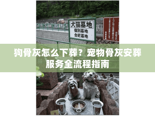 狗骨灰怎么下葬？宠物骨灰安葬服务全流程指南