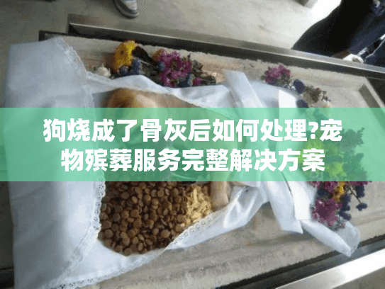 狗烧成了骨灰后如何处理?宠物殡葬服务完整解决方案