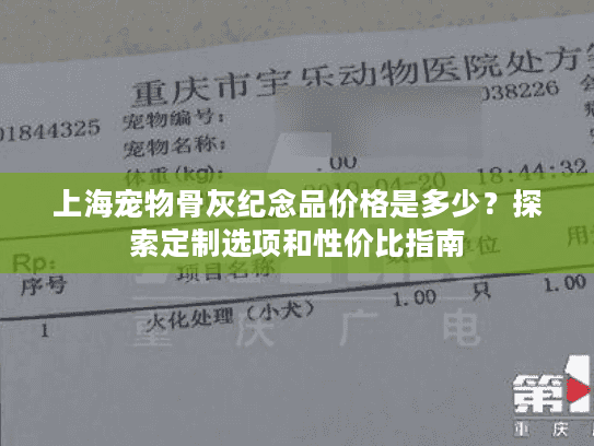 上海宠物骨灰纪念品价格是多少？探索定制选项和性价比指南