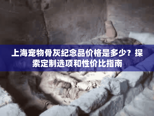 上海宠物骨灰纪念品价格是多少？探索定制选项和性价比指南