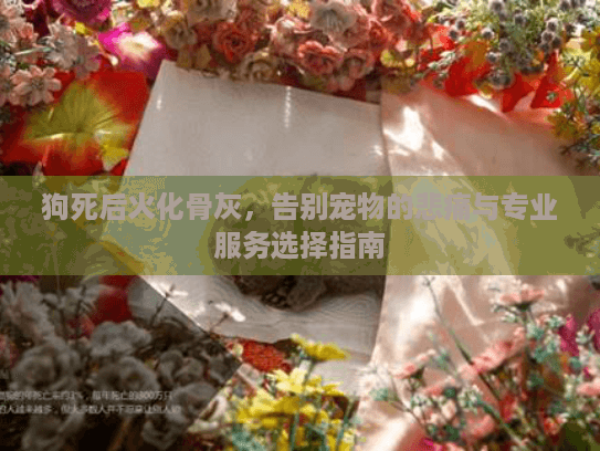 狗死后火化骨灰，告别宠物的悲痛与专业服务选择指南