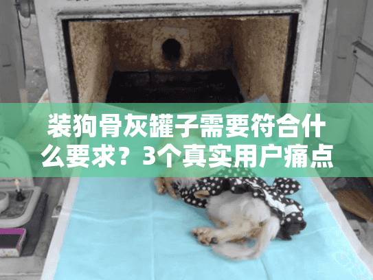装狗骨灰罐子需要符合什么要求？3个真实用户痛点+避坑指南