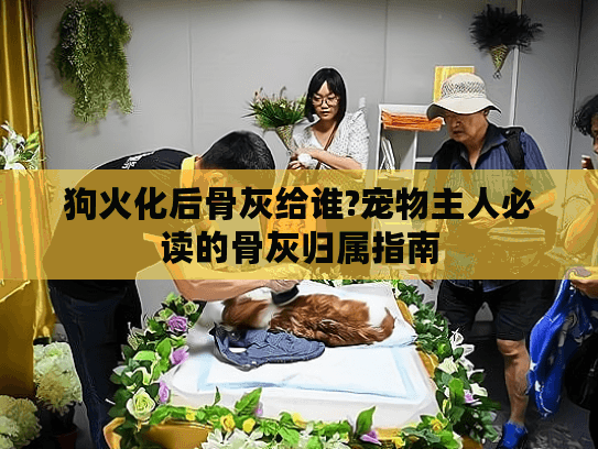 狗火化后骨灰给谁?宠物主人必读的骨灰归属指南