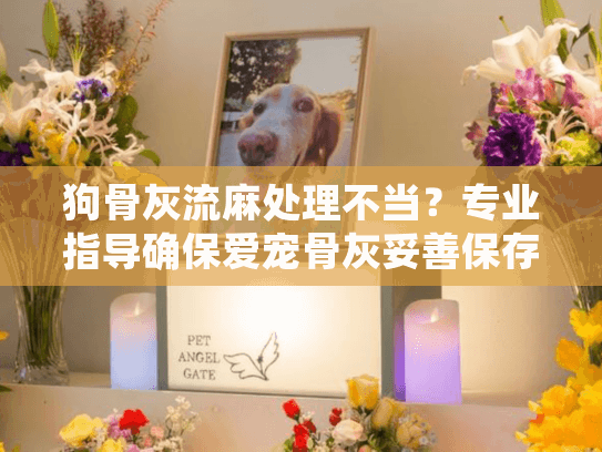 狗骨灰流麻处理不当？专业指导确保爱宠骨灰妥善保存