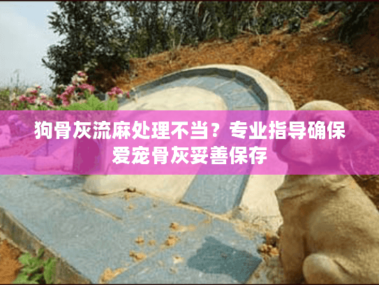 狗骨灰流麻处理不当？专业指导确保爱宠骨灰妥善保存