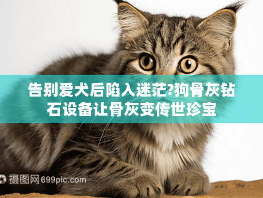 告别爱犬后陷入迷茫?狗骨灰钻石设备让骨灰变传世珍宝