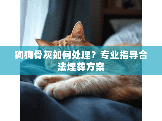 狗狗骨灰如何处理？专业指导合法埋葬方案