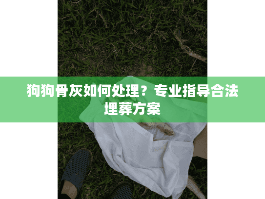 狗狗骨灰如何处理？专业指导合法埋葬方案