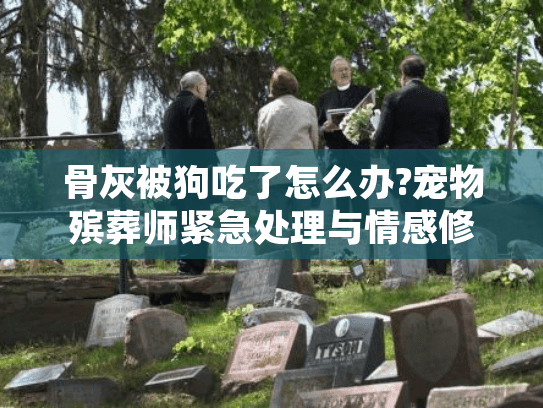 骨灰被狗吃了怎么办?宠物殡葬师紧急处理与情感修复指南