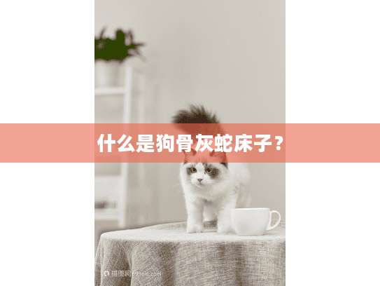 什么是狗骨灰蛇床子？
