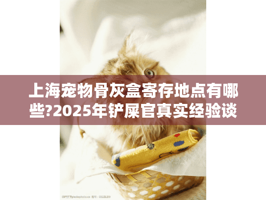 上海宠物骨灰盒寄存地点有哪些?2025年铲屎官真实经验谈